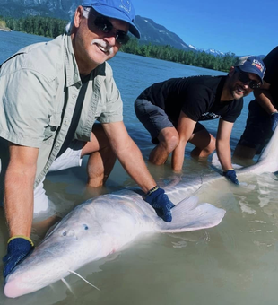 Sturgeon Fishing: BC's Finest!